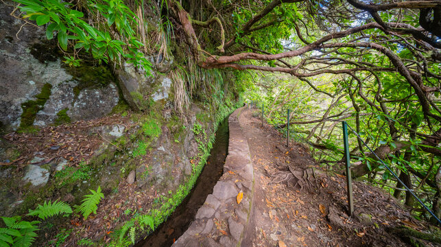 Levada do Caldeirao Verde, Parque Forestal Das Queimadas, Madeira, Portugal, Europe