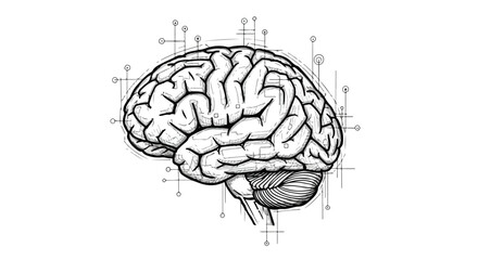 Fototapeta premium Human brain cognitive neural network medical sketch