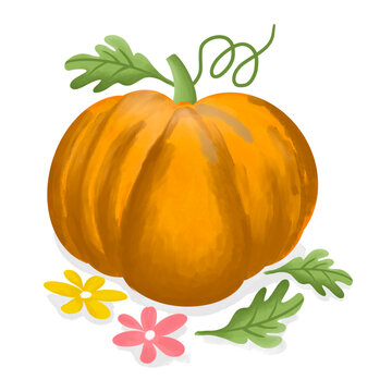 pumpkin with flowers and leafs watercolor illustration art design