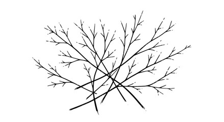 Minimal Abstract Tree Branch Network Illustration Representing Organic Growth, Neural Connections, Natural Structure Patterns, Biological Systems Concept and Modern Line Art Design