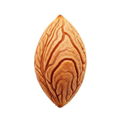 Obraz premium Almond Seed Macro Isolated Black