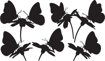 Adobe Illustrator Artwork © AADIL