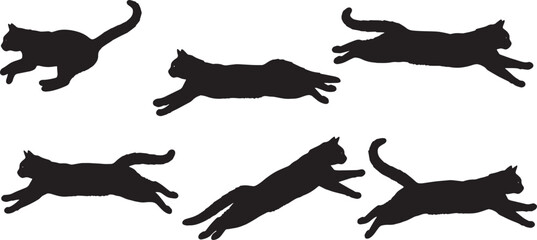 Adobe Illustrator Artwork © AADIL