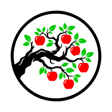  Apple tree branch with red apples, vector icon.  