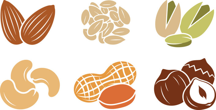 Healthy nut variety and organic snack icons set, flat vector illustrations with almond, pistachio, cashew, peanut and hazelnut isolated on white background.