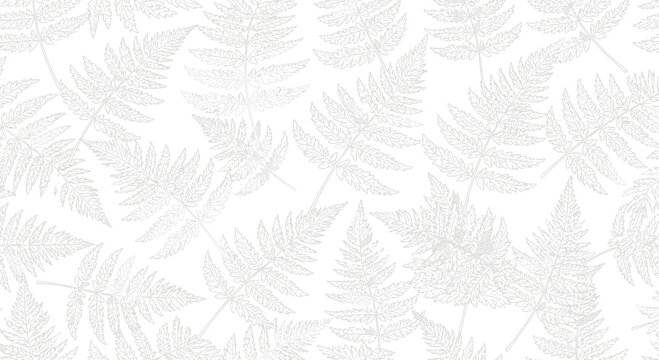 Abstract white fern leaves pattern background nature botanical texture design