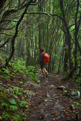 Obraz premium Hiking in the rainy laurisilva forest