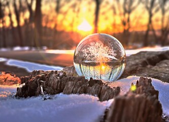 エコイメージ-夕景の冬景色とガラスの木2