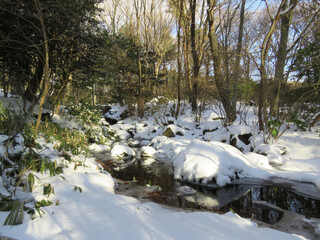 雪解けの小川
