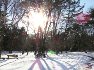 太陽が差し込む雪景色2