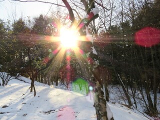 太陽が差し込む雪景色