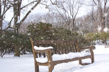 冬の赤城自然園(ベンチ)