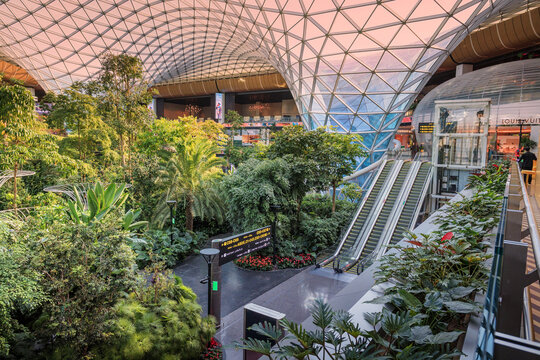 2 December 2025, Doha, Qatar: Lush green garden Orchard thriving inside a modern glass dome in Hamad Airport