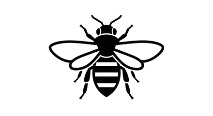 Obraz premium A detailed black and white illustration of a bee, featuring its striped body, wings, and antennae, presented in a simple, graphic style.