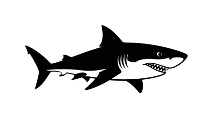 Obraz premium Black and white illustration of a powerful great white shark swimming with sharp teeth visible.