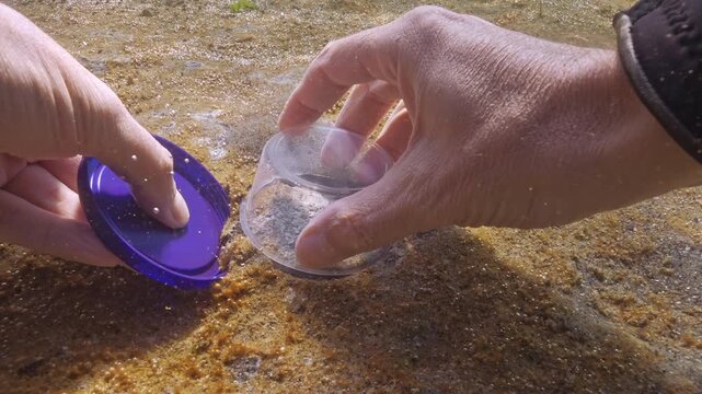 POV shot, man`s hands taking samples fungal mycelium (marine mold) from sandy bottom, in center of large colony of microalgae producing gas. Benthic sampling of biofilm from seabed, first person view