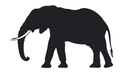 Fototapeta premium Silhouette of an Elephant Against White Background