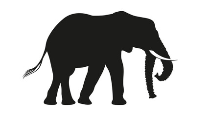 Obraz premium Silhouette of an Elephant Standing Gracefully