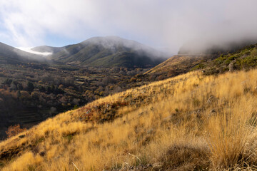 A mountain range with a foggy sky and a field of yellow grass