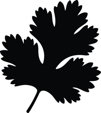 silhouette single cilantro leaf isolated on white background vector design