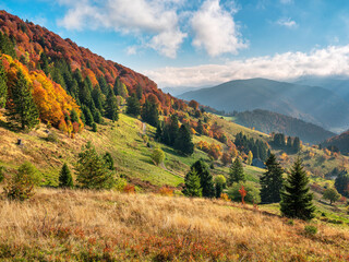 Typische Offene Landschaft Schauinsland Schwarzwald
