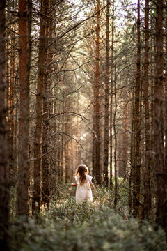 Young girl walking in the woods on a summer day, view from behind