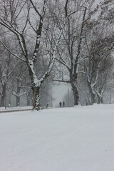 Obraz premium Two distant people walking along a snowy trail in a park. Bare winter trees and an overcast sky create a moody, calm atmosphere in the urban nature setting. Prague, Vitkov hill