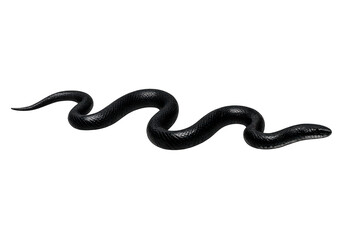 Fototapeta premium Black snake slithering, representing danger, fear, evil, and temptation, isolated with a transparent background