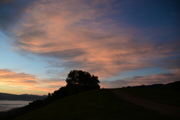 Obraz premium stunning view of a sunrise between fog ans sky
