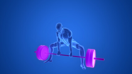 Human Lifting Heavy Barbell with Weights in Sumo Deadlift Anatomy