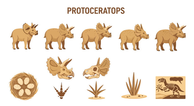 Cartoon illustrations of Protoceratops dinosaurs fossils track nest and plants