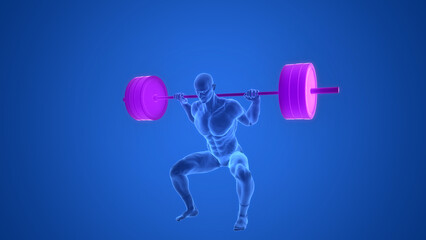 Human Carrying Heavy Barbell with Weights in Squat Exercise Anatomy