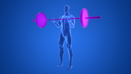 Human Lifting Heavy Barbell with Weights in Biceps Curls Exercise Anatomy