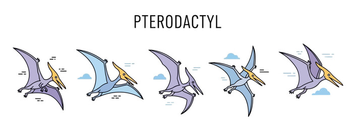 Five stylized cartoon Pterodactyl illustrations flying against a white background © Faisal