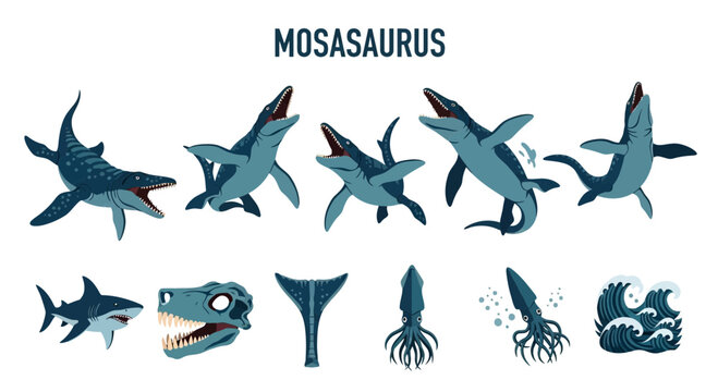 Illustration featuring various Mosasaurus depictions a shark a skull a tail fin squids and waves