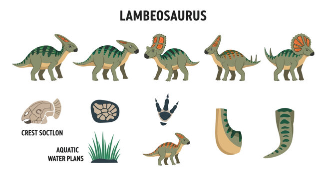 Illustrations of Lambeosaurus dinosaurs fossils footprints plants and body parts