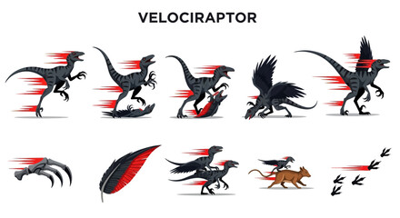 Obraz premium Velociraptor animation frames claws feather and footprints with speed lines