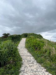 宮古島の山に続く道