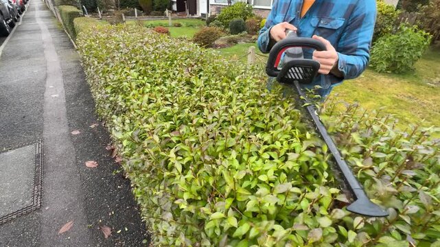 A European man trimming bushes with a trimmer. Side view. Close-up. Shaping greenery. Gardening.