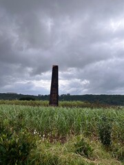 サトウキビ畑と煙突
