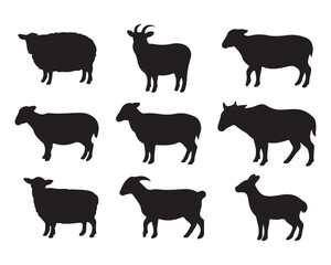 Fototapeta premium Farm Goat Sheep Silhouettes Vector Set