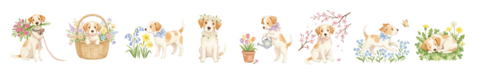 Cute set of Watercolor spring puppies clipart: baskets, eggs, flowers, beehive. Collection of Vector illustrations. Perfect for invitation, card, poster, banner, decoration  © maria