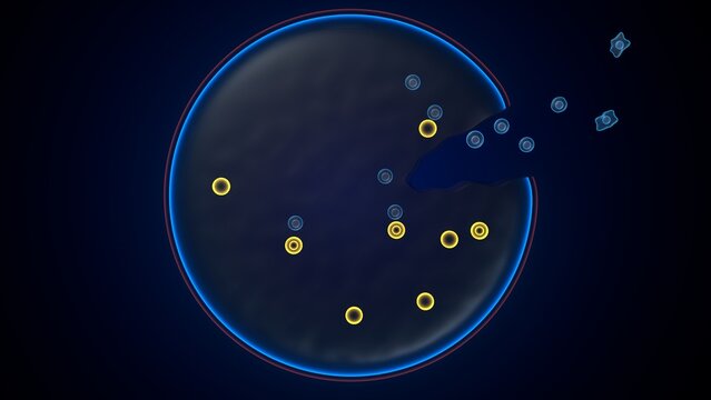 Amoeba structure anatomy. 3d render
