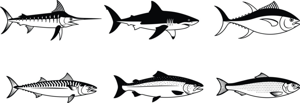 Set of six detailed fish silhouettes and line art icons, marine seafood species isolated on white vector