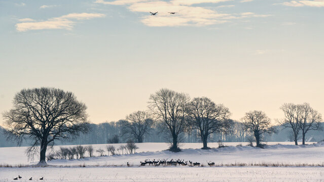 Winterlandschaft