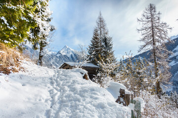 Fototapete bei efototapeten.de bestellen   