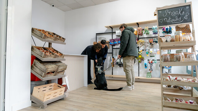 Dog grooming salon with clients and staff interaction