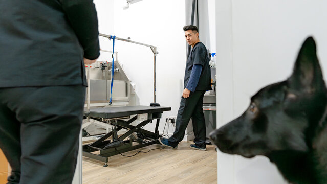 Dog grooming salon with professional equipment