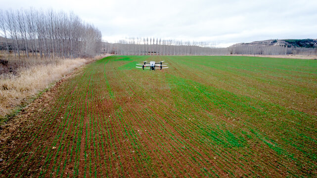 Agricultural drone spreading solid fertilizer over field