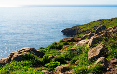 Sunny coastal slope on Madeira island Portugal.